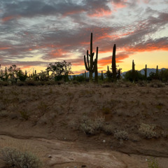 These drums are fast