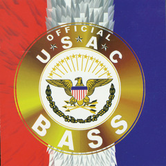 Bass... Can You Hear Me?