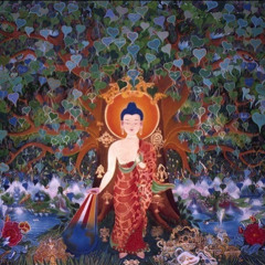244 - Sviluppiamo le nostre risorse positive | Mercoledì al Kunpen con Lama Michel Rinpoche