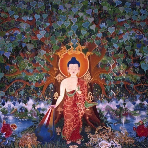 247 - Agire come causa del futuro | Mercoledì al Kunpen con Lama Michel Rinpoche