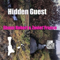 Shaun Robert & Zoviet*France - Hidden Guest