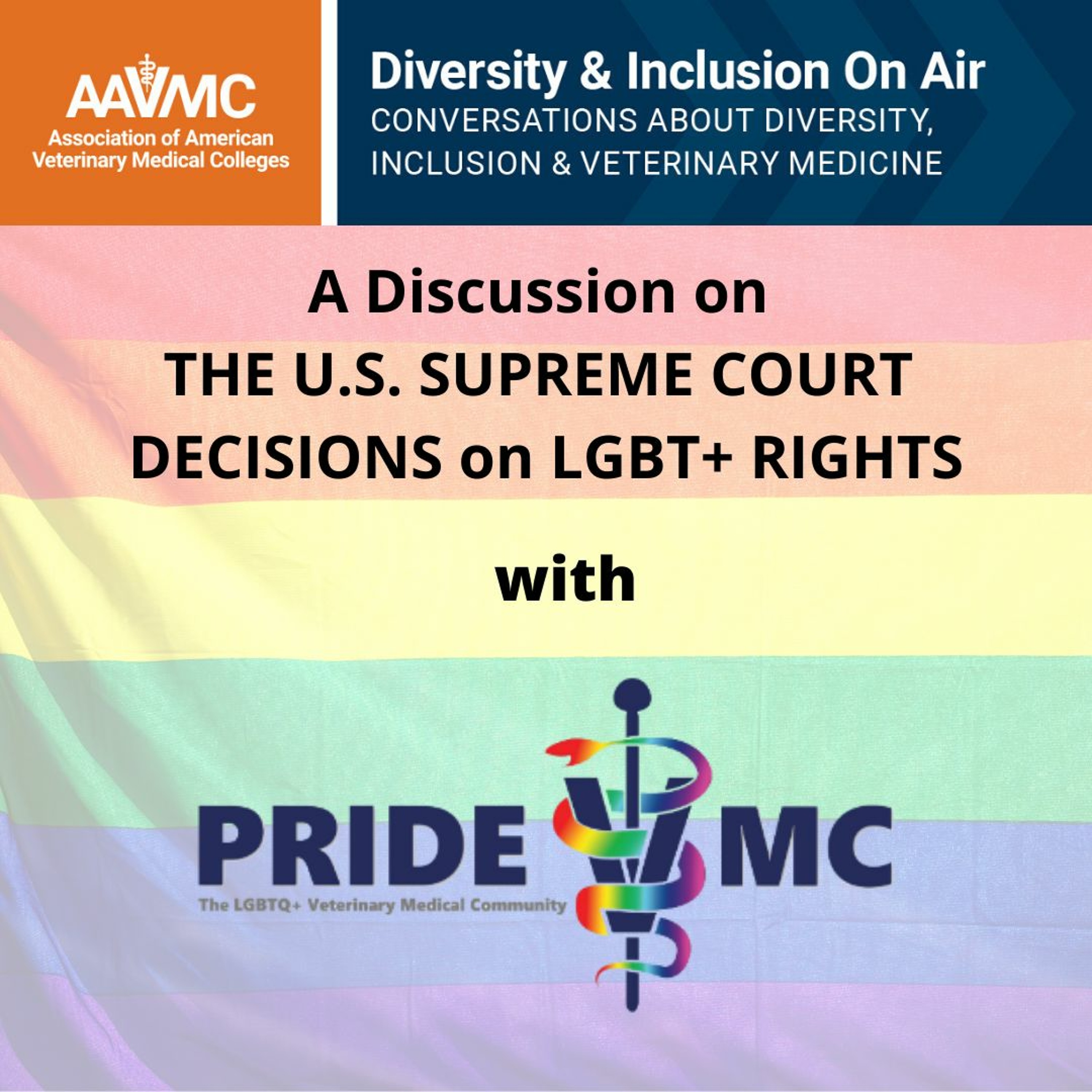 AAVMC\'s On Air: Conversations about Issues in Veterinary Medicine