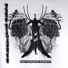 WOUNDFUCKER - OVER 5 BILLION HAPPY CUSTOMERS