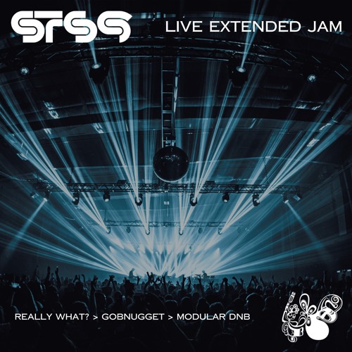 Really What? > Gobnugget > Modular DnB (Live Extended Jam)