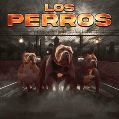 NewtonBreaks-Los Perros(mashup)