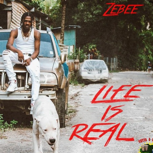 Zebee - Life_Is_Real_Mstr