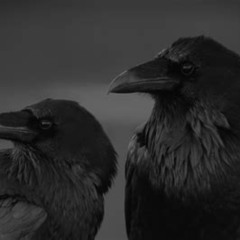 Two Raven