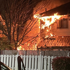 nicotine brain freeze