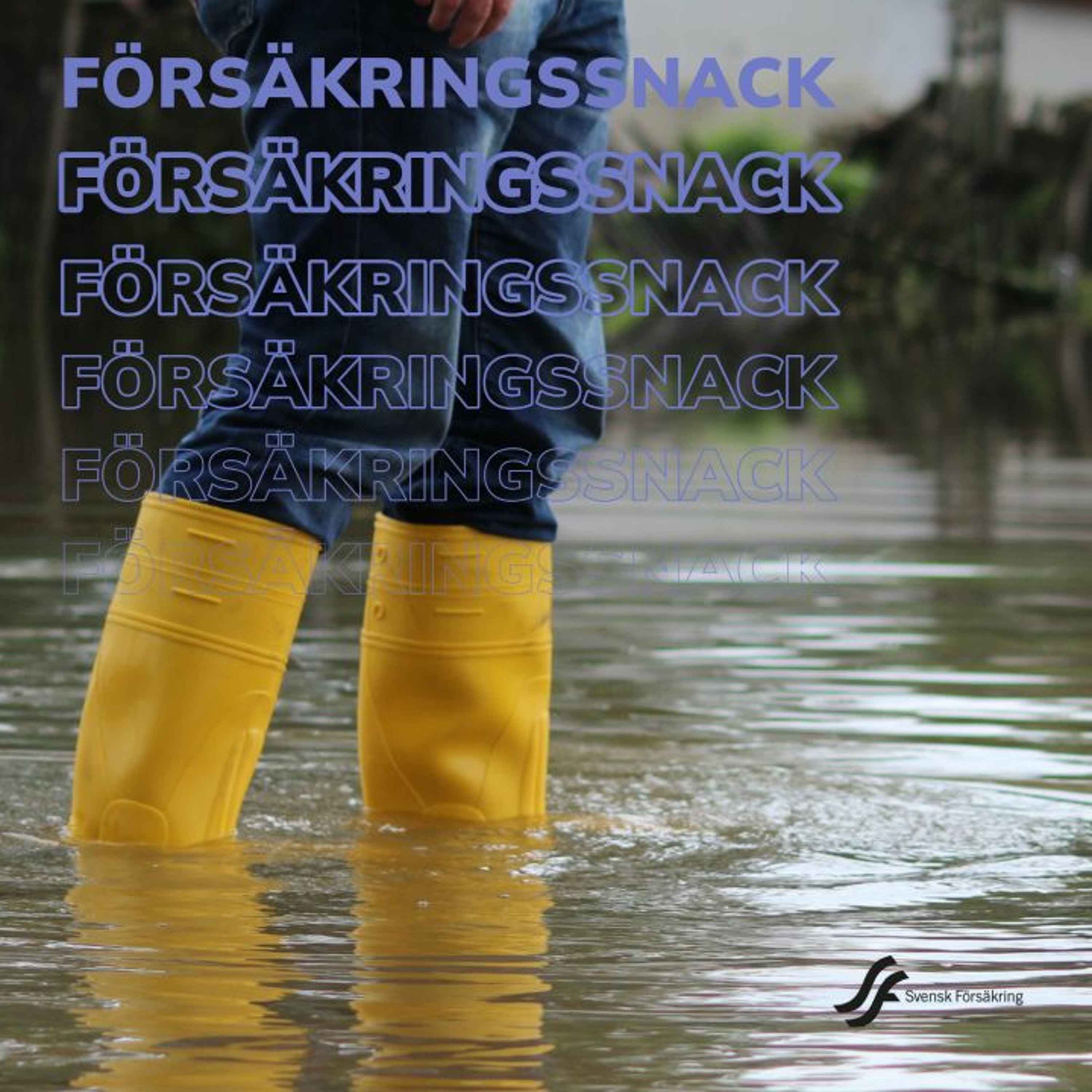 Försäkringssnack