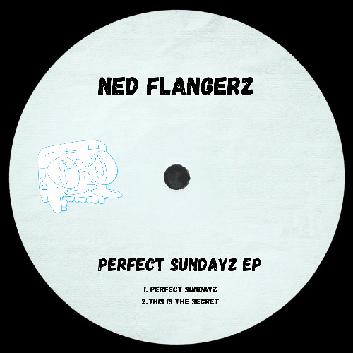 Ned Flangerz - This is the Secret