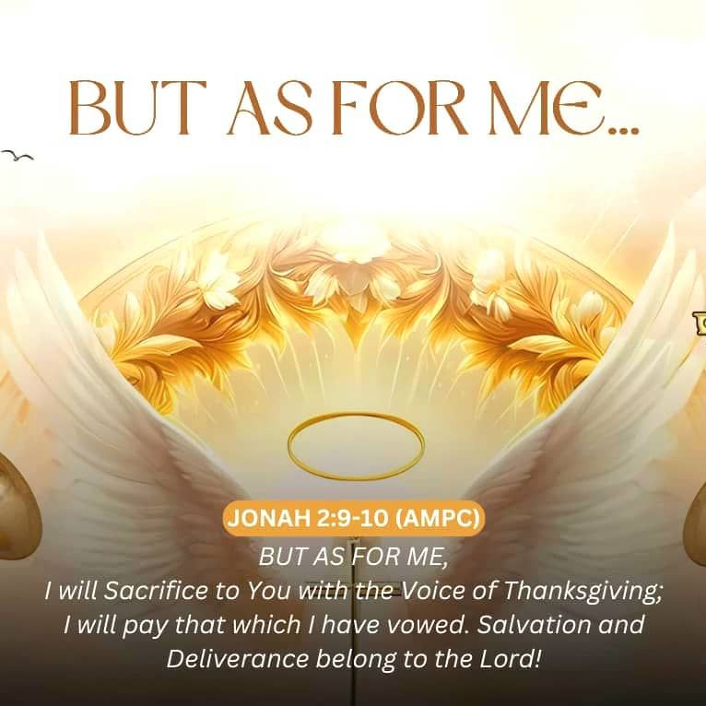 The Word of Grace