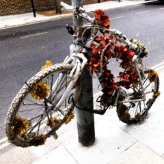 rose-colored lenses demo