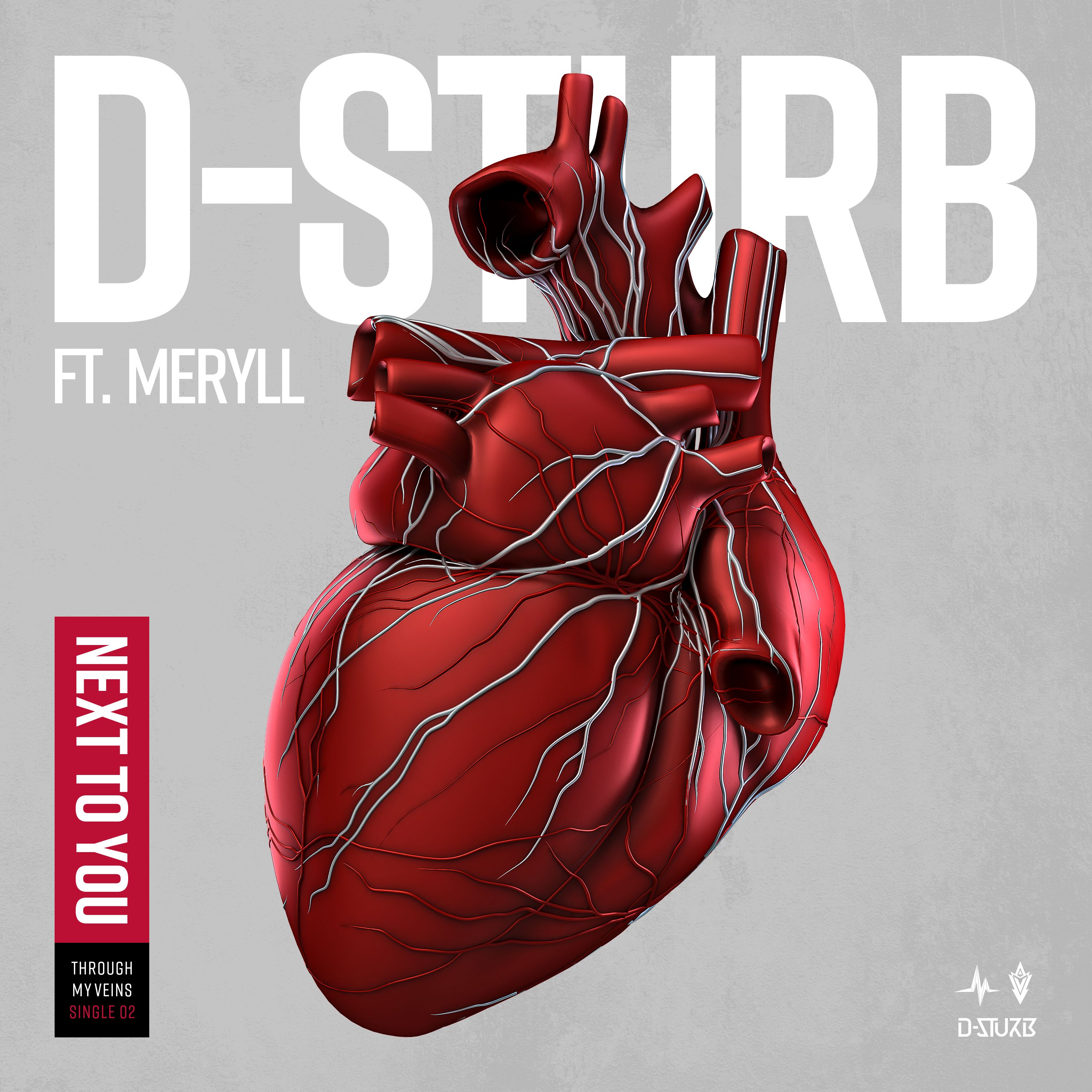 D-Sturb – Next To You