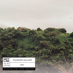 pleasure gallery w/ alec - skylab radio - july 2025