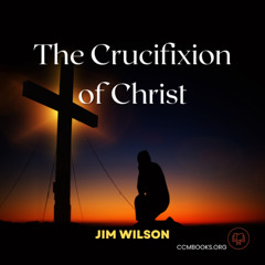 Crucifixion of Christ (Jim Wilson)