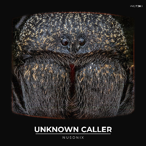 Nusonix - Unknown Caller (INSECTS004: Pay What You Want)