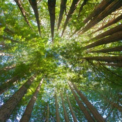 First Time For Everything