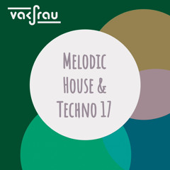 Melodic House & Techno 17