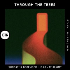 Ty Through the Trees - 17.12.23