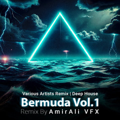 Bermuda Vol.1 - Various Artists REMIX
