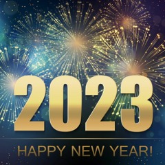 New Year Mimic 2023