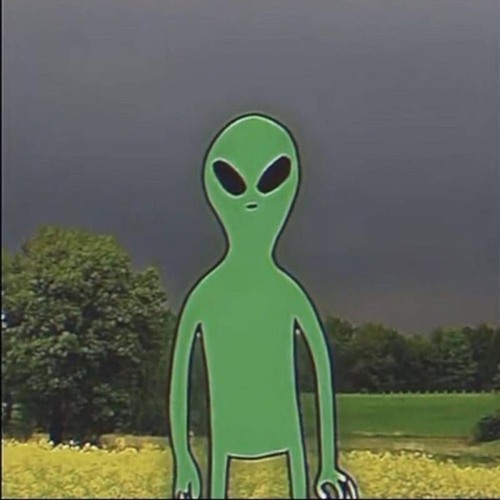 Cháp - Doc C