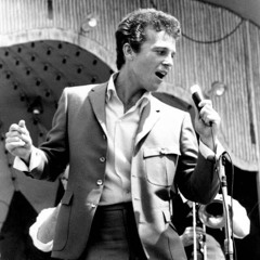 Bobby Vinton - I Love You The Way You Are (Slowed & Reverb)