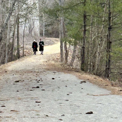 Mother of Fingers *MOTOR*