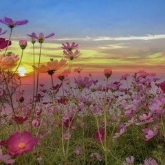 lucky4s 141bpm (@isaiahrozon, @jiorno)