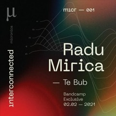 PREMIERE: Radu Mirica - Te Bub [MICR001]