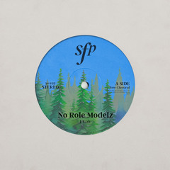 No Role Modelz
