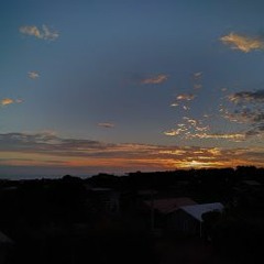 Bats Over Brunswick