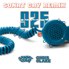 Chris Lake, Sammy Virji - 925 (Sonat Cay Remix) Free DOWNLOAD