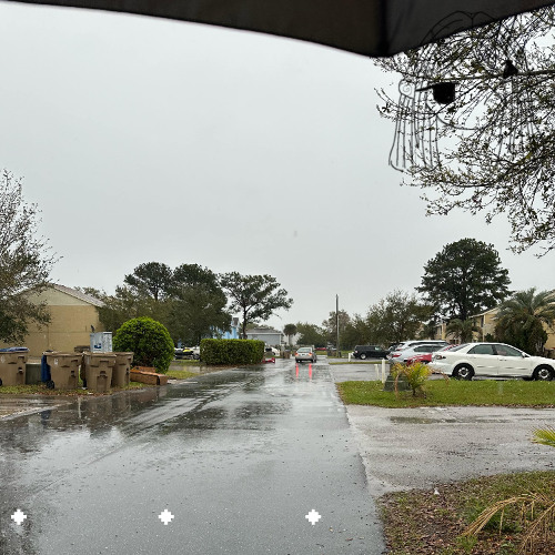 rust finish w/ leafo  🎸