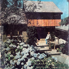 Plaster - 2025-08-23, 7.47 PM