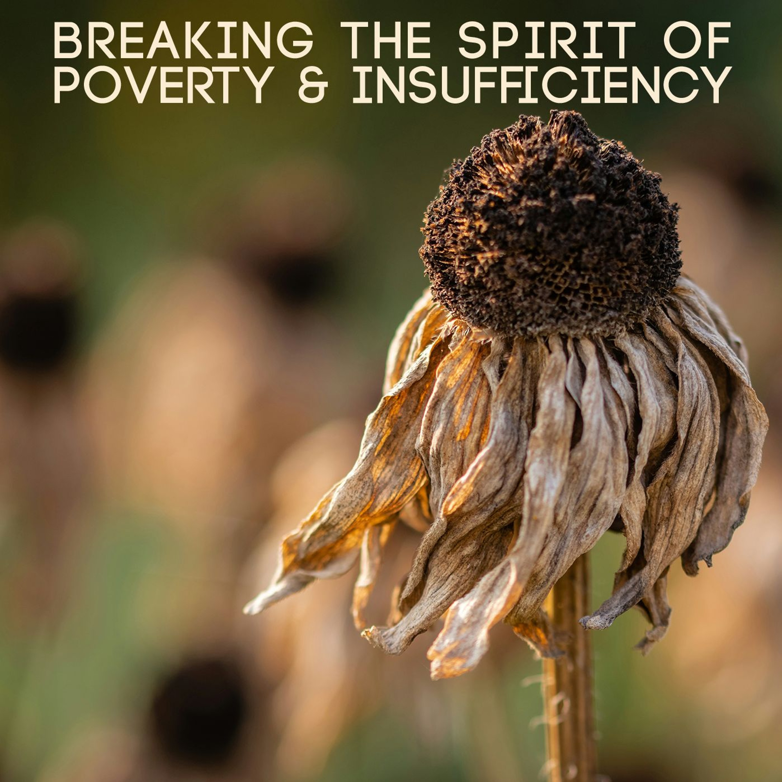Breaking the Spirit of Poverty & Insufficiency episode artwork