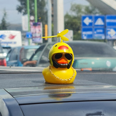 No matters No worrys