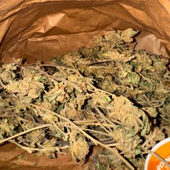 Send more Custies (Feat. Raw Steppa)