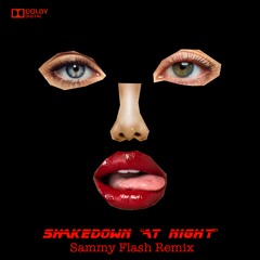 Shakedown - At Night [Sammy Flash Remix]