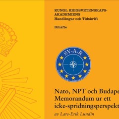 AI-take on my paper on the NPT and the 1994 Budapest Memorandum
