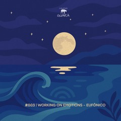 #003 | WORKING ON EMOTIONS - EUFÔNICO