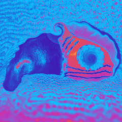 Guanabara Vortex