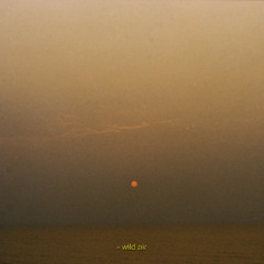 Wild Air