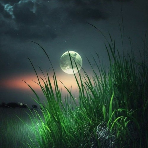 GLTG TRĂNG VỀ THÔN DÃ - NHƯ QUỲNH.mp3