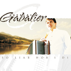 So liab hob i di (Radio Edit)