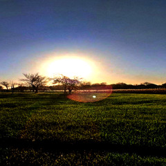 Panic_____-______-________--____--___-___--_-_