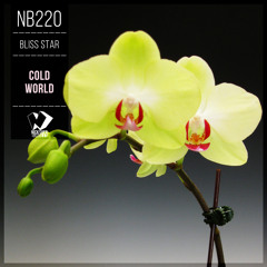 Bliss Star - Cold World (Original Mix)
