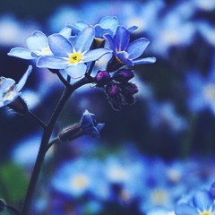 Passerelle (prod by LCS)