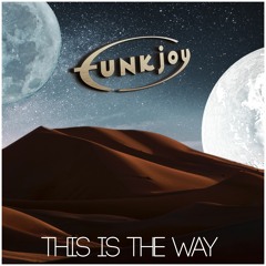 funkjoy - This Is The Way (The Mandalorian)