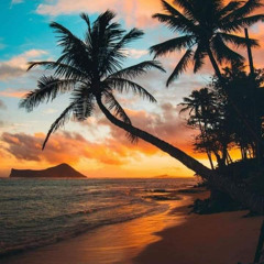 KONPA OCTOBRE 25 MIX ONE